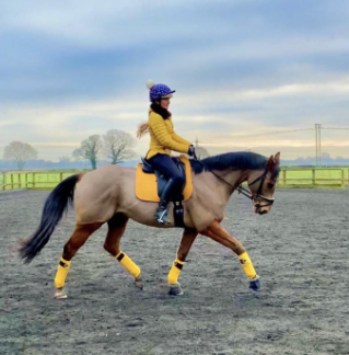 riding horses in winter with cavaletti saddle