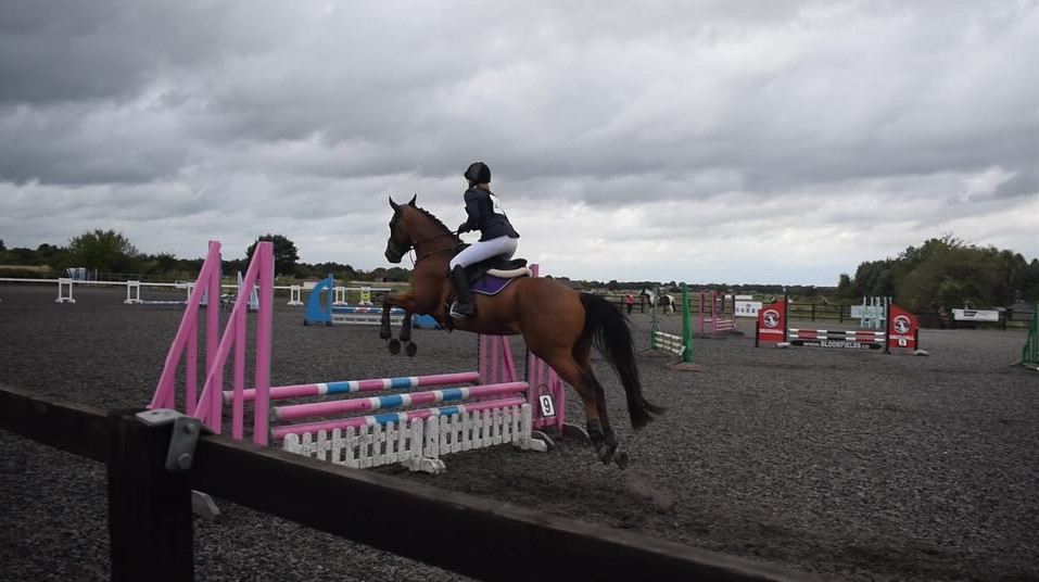 Show Jumping Cavaletti