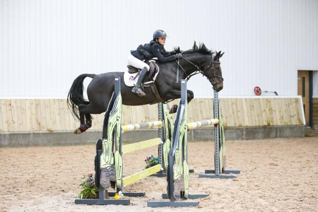 Cavaletti Show Jumping