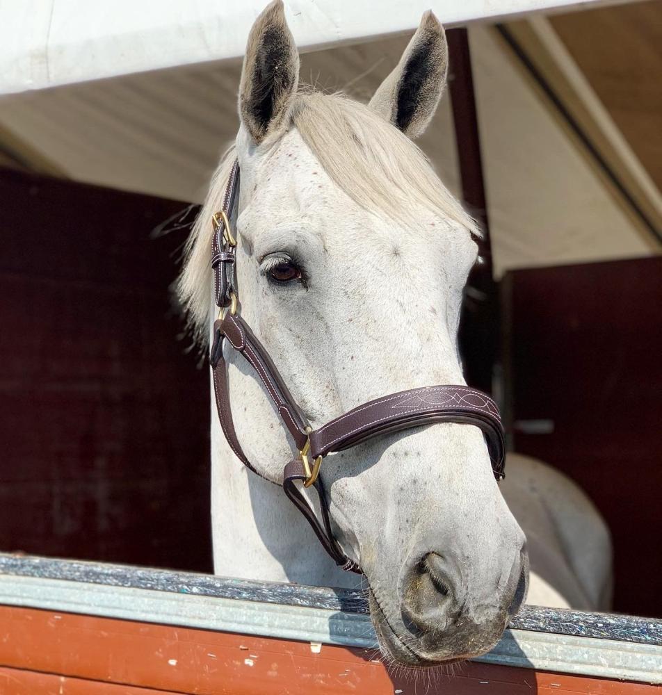 Headcollar