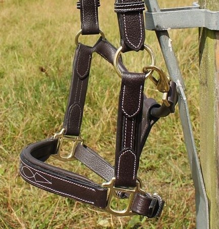 Cavaletti Collection Headcollar