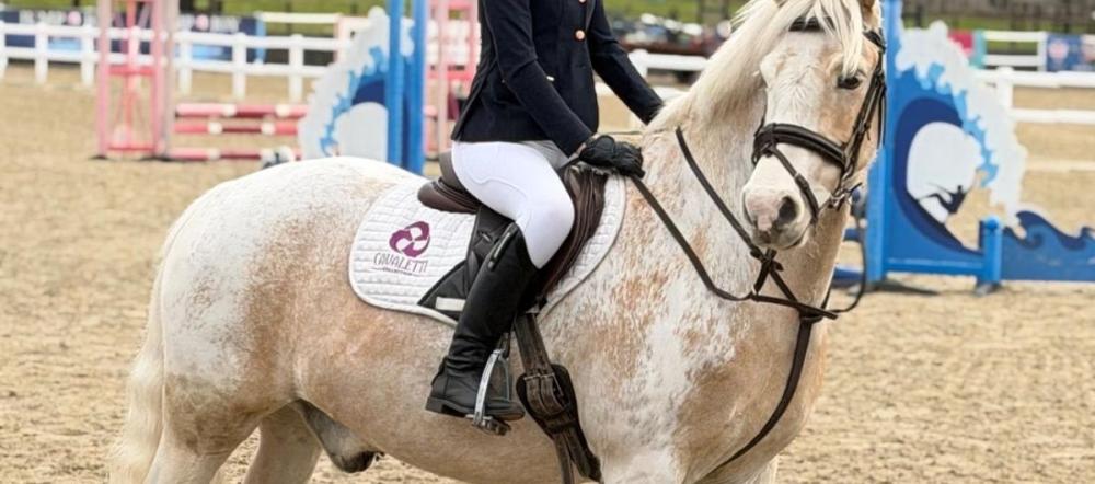 cavaletti-collection-saddle-pad-rider-stirrup-showground.jpg Rider on a palomino pony wearing a Cavaletti Collection saddle pad, stirrup visible, at a showjumping arena