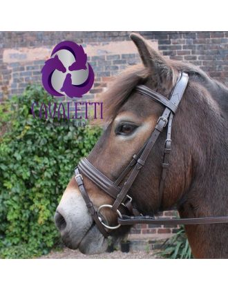 A horse wearing a brown leather Cavaletti Collection Discovery Flash Bridle with a flash noseband.