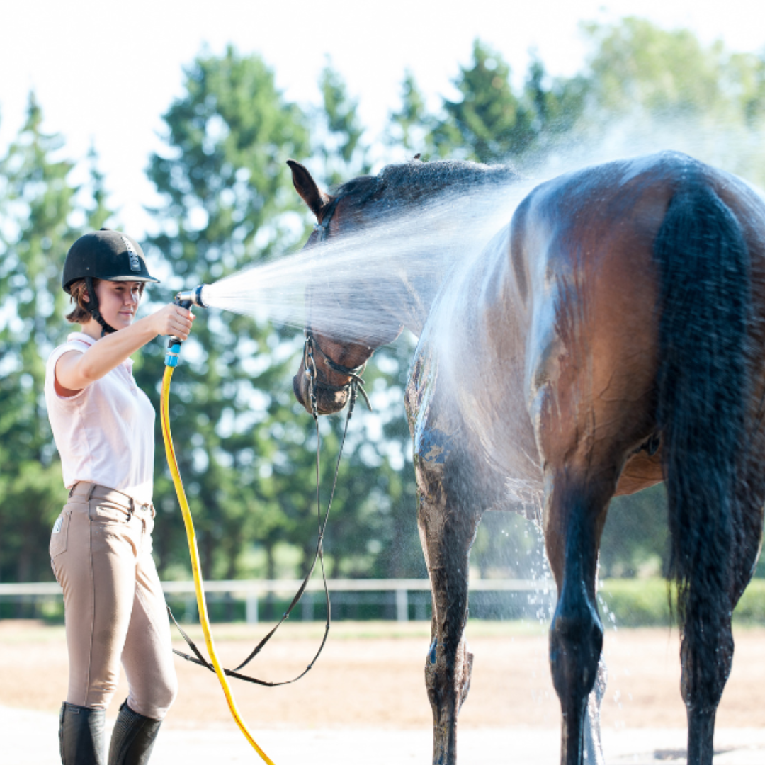 How To Keep Horses Cool In Hot Weather