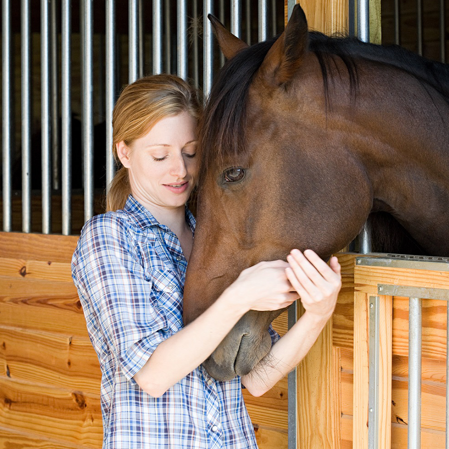 The True Cost Of Owning A Horse