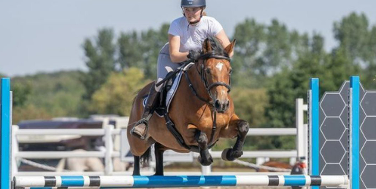 portrait jumping horse