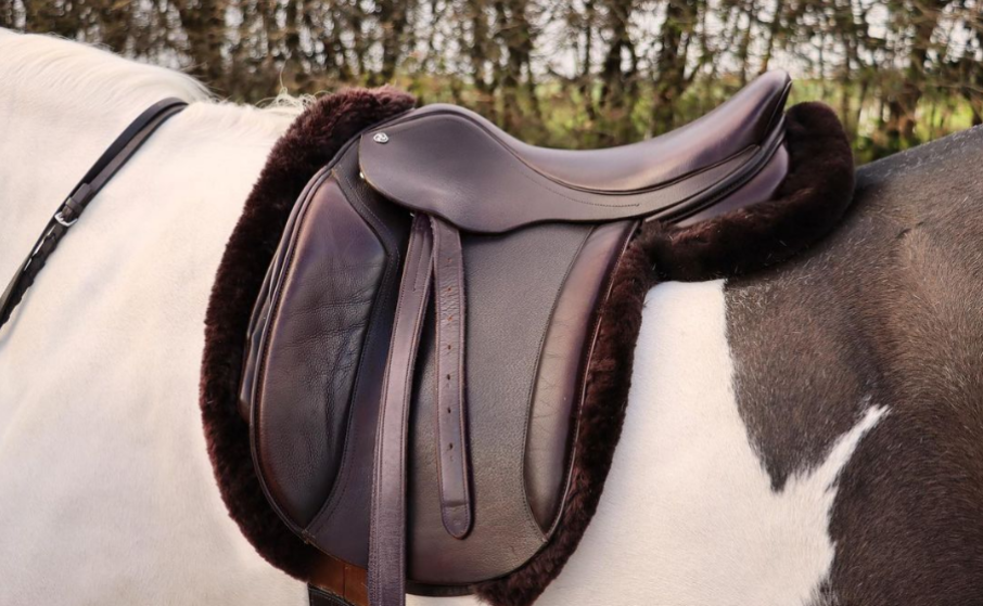 Cavaletti Collection Show Saddle