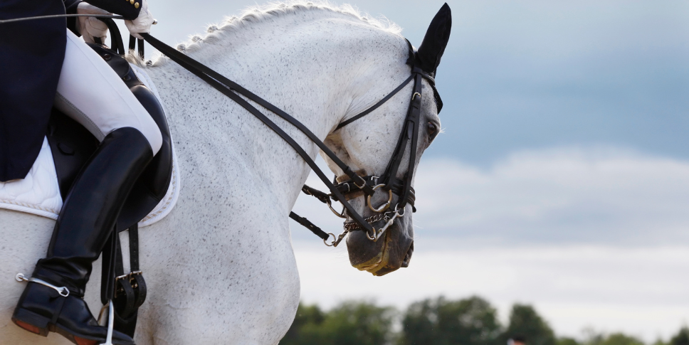 Kentucky Three Day Event Dressage 