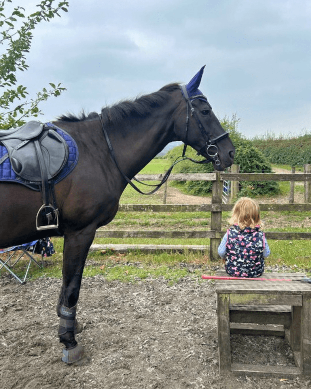 Tacked up black horse with young child sitting nearby at the yard