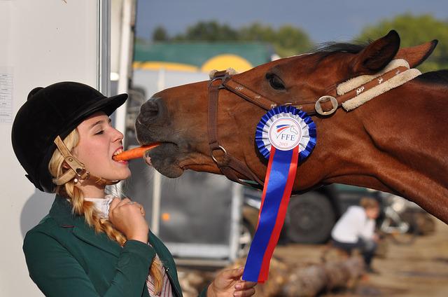 happy horse