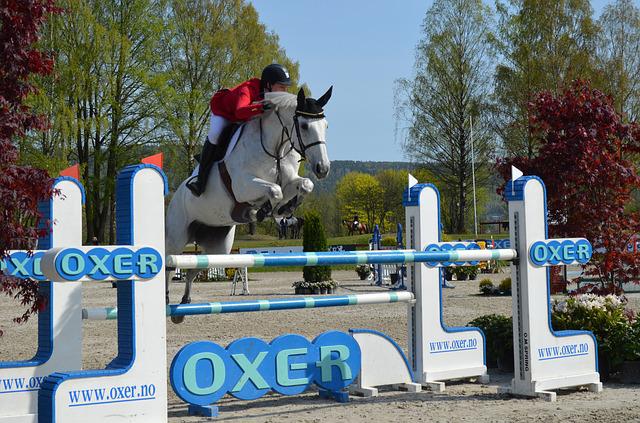 showjumping in london